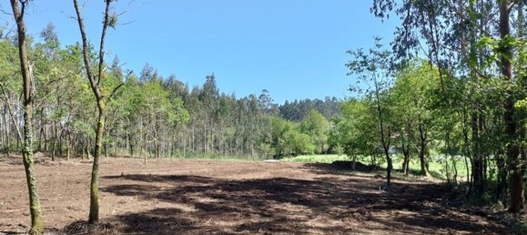 Земельный участок 1436м² в О Пино, Испания № 44917 20