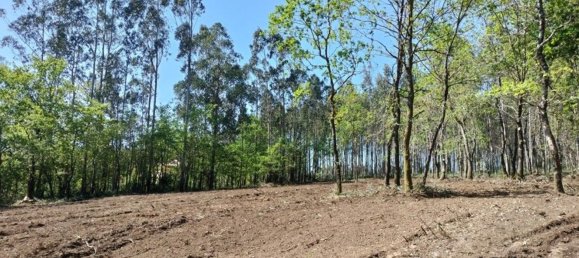 Земельный участок 1436м² в О Пино, Испания № 44917 4