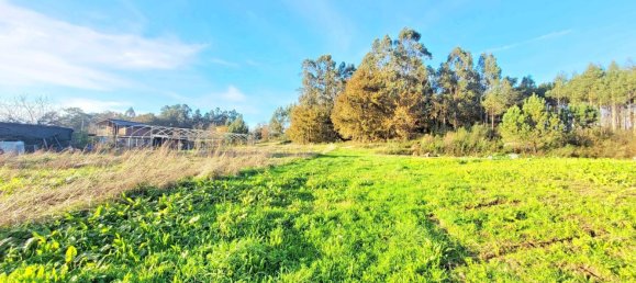 Земельный участок 1436м² в О Пино, Испания № 44917 3