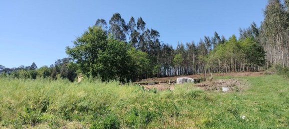 Земельный участок 1436м² в О Пино, Испания № 44917 25