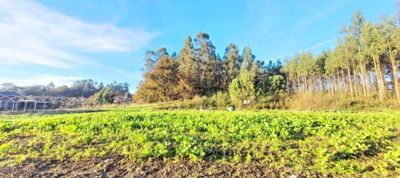 Земельный участок 1436м² в О Пино, Испания № 44917 14