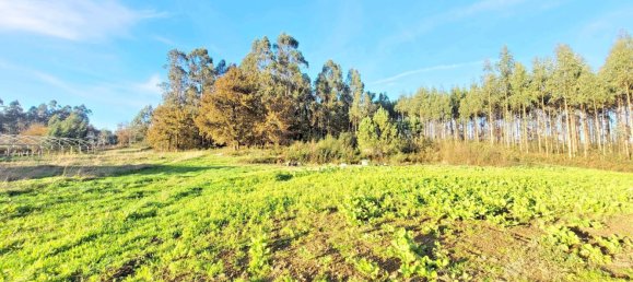 Земельный участок 1436м² в О Пино, Испания № 44917 11