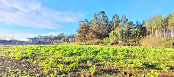 Земельный участок 1436м² в О Пино, Испания № 44917 18