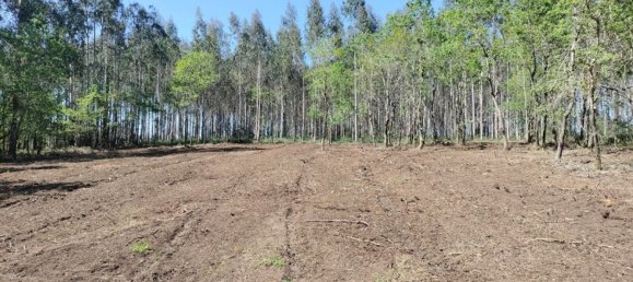 Земельный участок 1436м² в О Пино, Испания № 44917 28