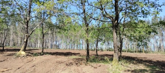 Земельный участок 1436м² в О Пино, Испания № 44917 8