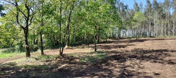 Земельный участок 1436м² в О Пино, Испания № 44917 29