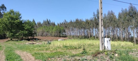 Земельный участок 1436м² в О Пино, Испания № 44917 6