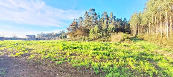 Земельный участок 1436м² в О Пино, Испания № 44917 16