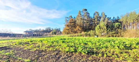 Земельный участок 1436м² в О Пино, Испания № 44917 15