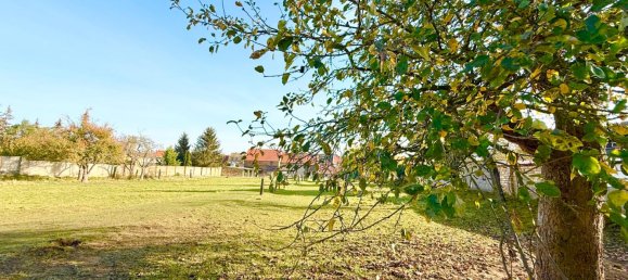 Adosado de 5 dormitorios en Anhalt-Bitterfeld, Germany No. 160002 5