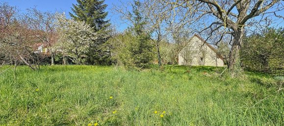 Terrain à Mutzig, France No. 153211 4