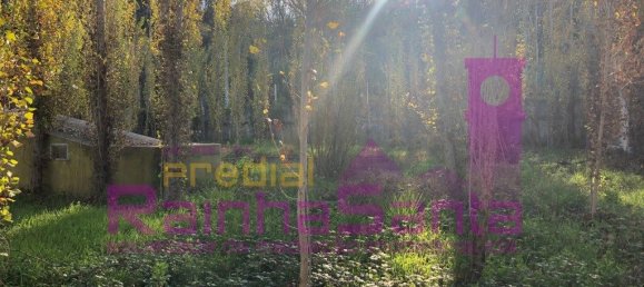 6 chambres Maison à Santa Margarida da Coutada, Portugal No. 141215 10