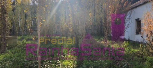 6 chambres Maison à Santa Margarida da Coutada, Portugal No. 141215 8