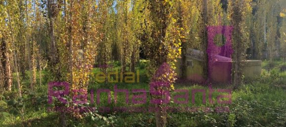 6 chambres Maison à Santa Margarida da Coutada, Portugal No. 141215 9