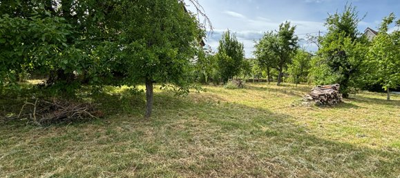 Terrain à Bernardswiller, France No. 54376 5