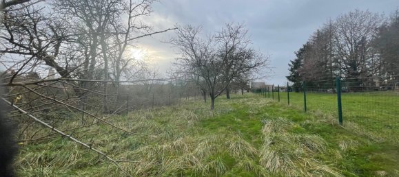 Casa de 5 dormitorios en Willerwald, France No. 50618 4