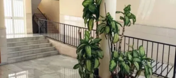 3 غرف نوم شقة في Mijas, Spain رقم 183014 47