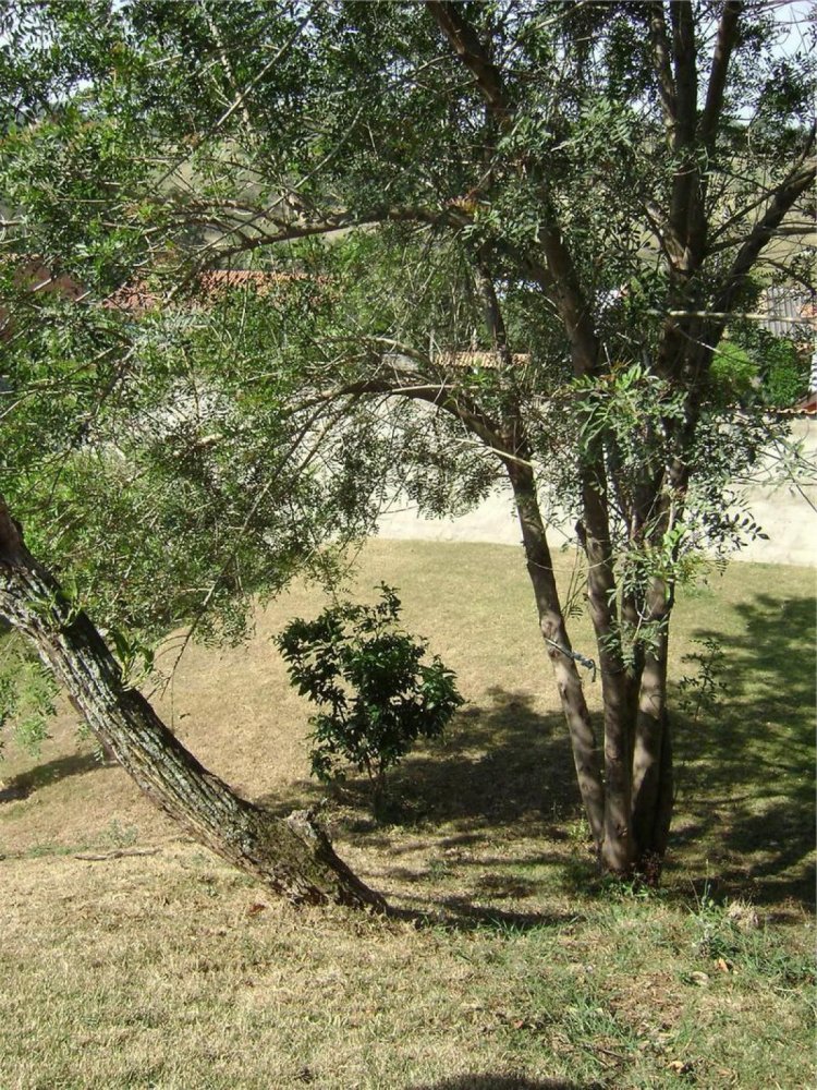 3 chambres Maison à Sao Paulo, Brazil No. 587357