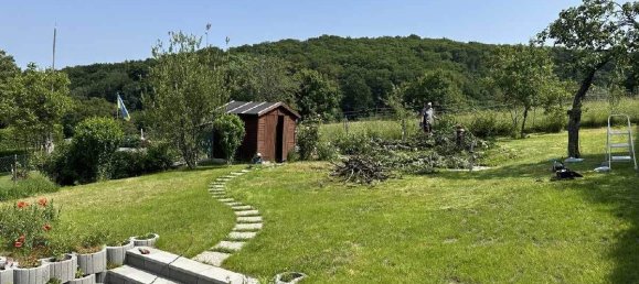 5 rooms House in Breitenfurt bei Wien, Austria No. 253227 9