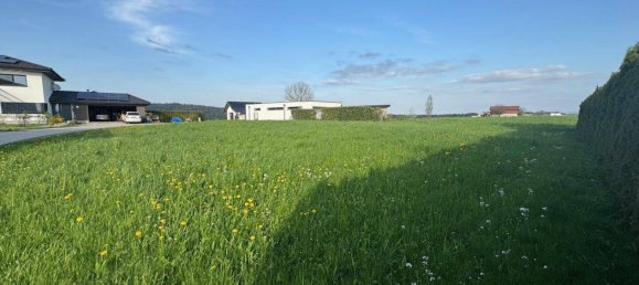 Terrain à Pondorf, Austria 931m² No. 213040 3