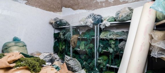 6 bedrooms House in Arraiolos, Portugal No. 186121 23