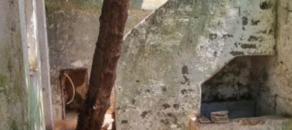 6 bedrooms House in Arraiolos, Portugal No. 186121 22