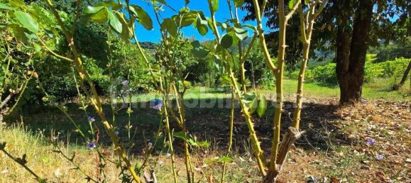 Casa T3 em Capannori, Italy N.º 300575 21