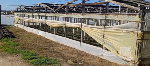 9000m² Land in Ragusa, Italy No. 151961 2