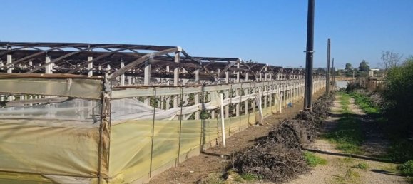 9000m² Land in Ragusa, Italy No. 151961 4