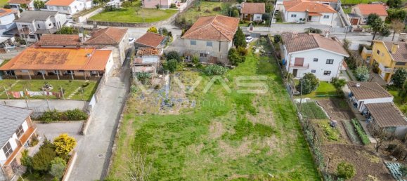 3 bedrooms House in Palmeira, Portugal No. 46898 5