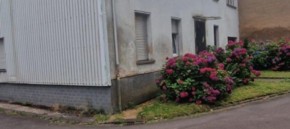 Дом с 5 спальнями в Зарлуи, Германия № 266948 2