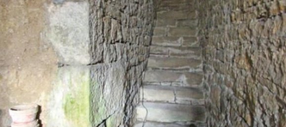 7 bedrooms House in Arlay, France No. 206829 19