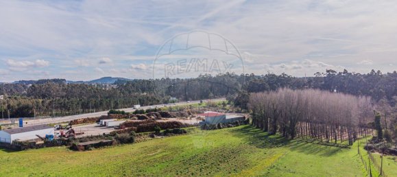 9 bedrooms House in Sao Felix da Marinha, Portugal No. 205423 42