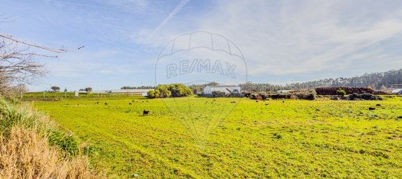 9 bedrooms House in Sao Felix da Marinha, Portugal No. 205423 28