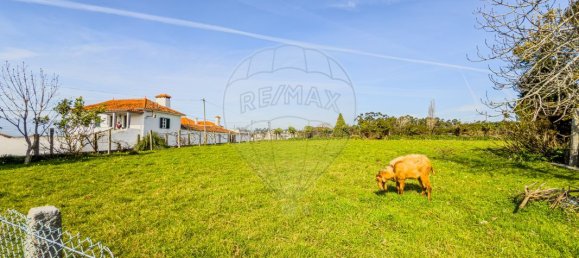 9 bedrooms House in Sao Felix da Marinha, Portugal No. 205423 24