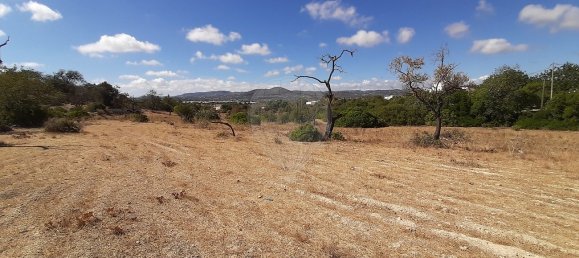 Casa T4 em Faro, Portugal N.º 17634 11