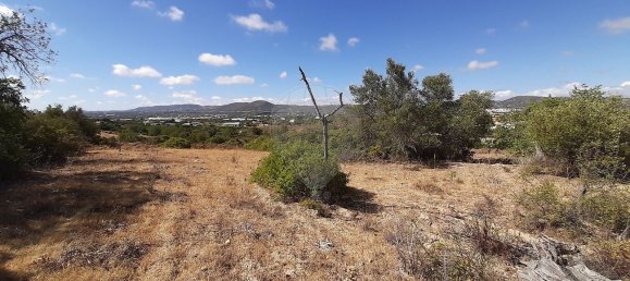 Casa T4 em Faro, Portugal N.º 17634 27