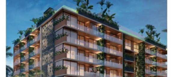 Estúdio em Solidaridad, Mexico N.º 181702 2