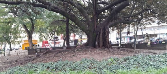 Квартира с 1 спальней в Лиссабон, Португалия № 151956 35