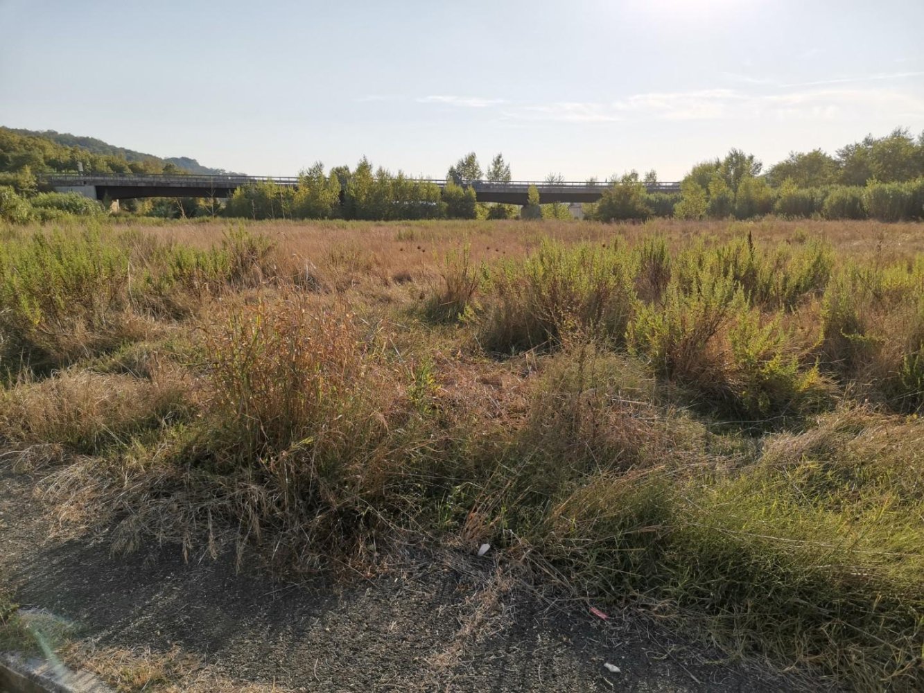 35000m² Land in San Gimignano, Italy No. 211525
