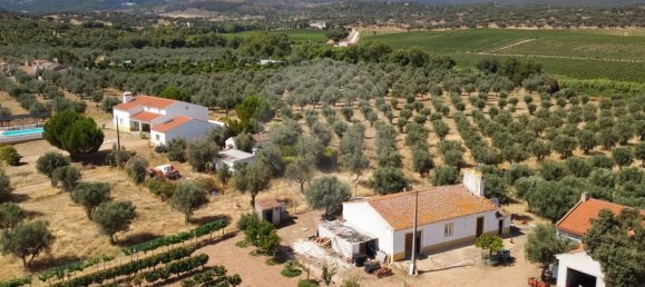 9 Schlafzimmer Haus in Redondo, Portugal, Nr. 89193 2