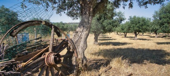 9 Schlafzimmer Haus in Redondo, Portugal, Nr. 89193 18