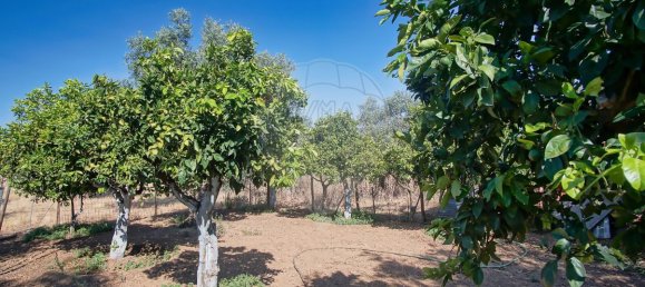 9 Schlafzimmer Haus in Redondo, Portugal, Nr. 89193 20