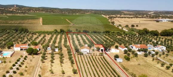 9 Schlafzimmer Haus in Redondo, Portugal, Nr. 89193 29