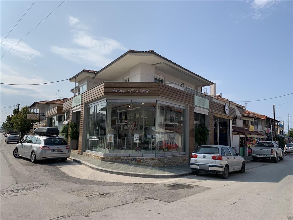 580m² Property in Chalkidiki, Greece No. 4558