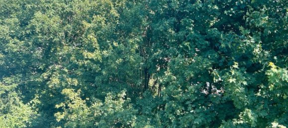 Дуплекс с 1 спальней в Дахау, Германия № 291620 4