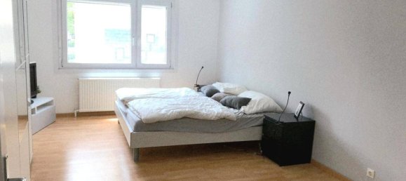 1 bedroom Apartment in Bad Voslau, Austria No. 62321 3
