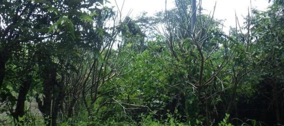 terreno en venta en Garabito, Puntarenas, Costa Rica № 1482 5