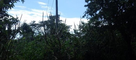 terreno en venta en Garabito, Puntarenas, Costa Rica № 1482 3