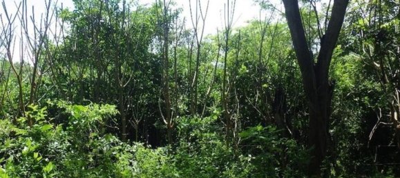 terreno en venta en Garabito, Puntarenas, Costa Rica № 1482 6